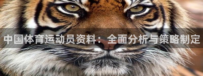球王会体育：中国体育运动员资料：全面分析与策略制定