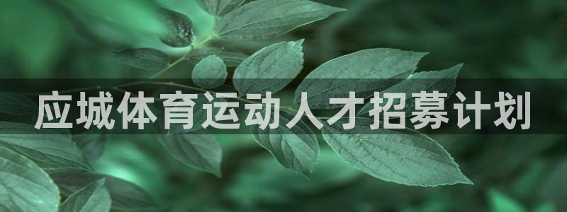 球王会体育：应城体育运动人才招募计划