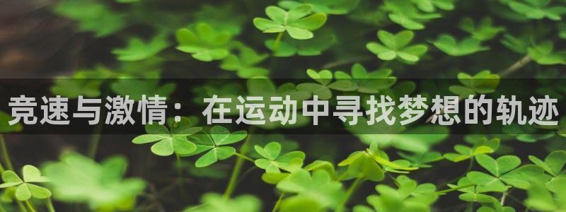 球王会体育：竞速与激情：在运动中寻找梦想的轨迹