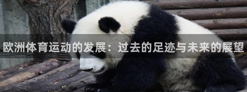 球王会体育：欧洲体育运动的发展：过去的足迹与未来的展望
