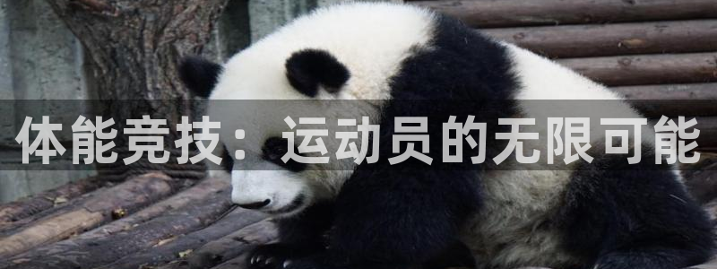 球王会体育：体能竞技：运动员的无限可能