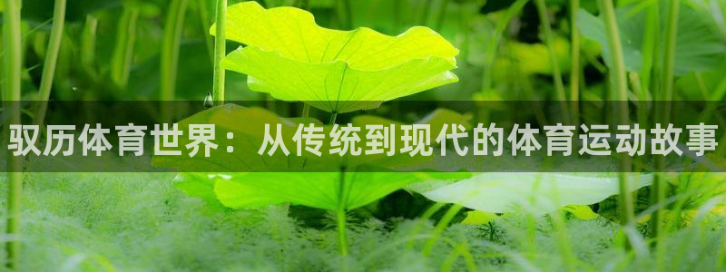 球王会体育：驭历体育世界：从传统到现代的体育运动故事