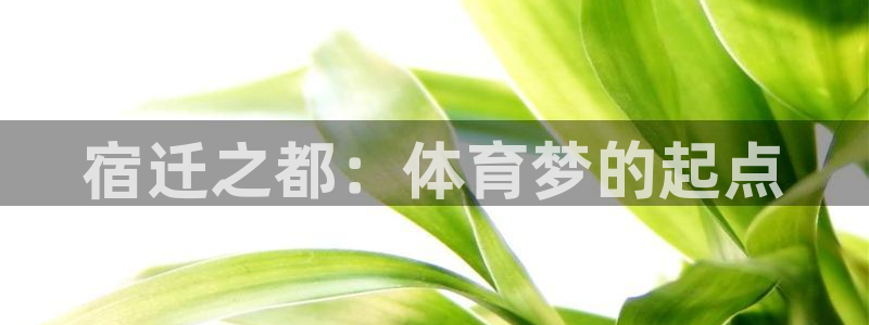 球王会体育：宿迁之都：体育梦的起点