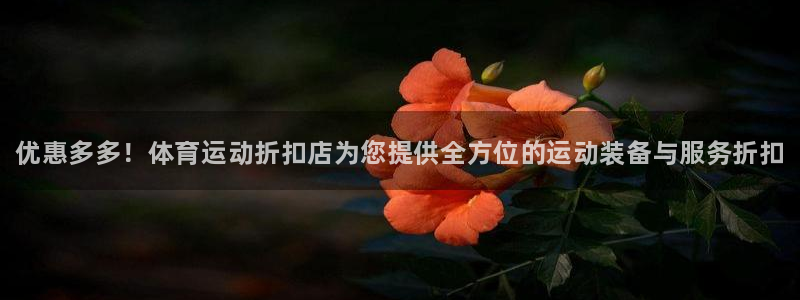 球王会体育：优惠多多！体育运动折扣店为您提供全方位的运动装备与服务折扣