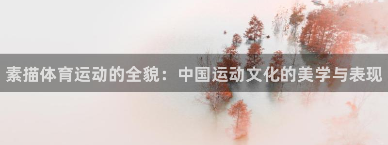球王会体育：素描体育运动的全貌：中国运动文化的美学与表现