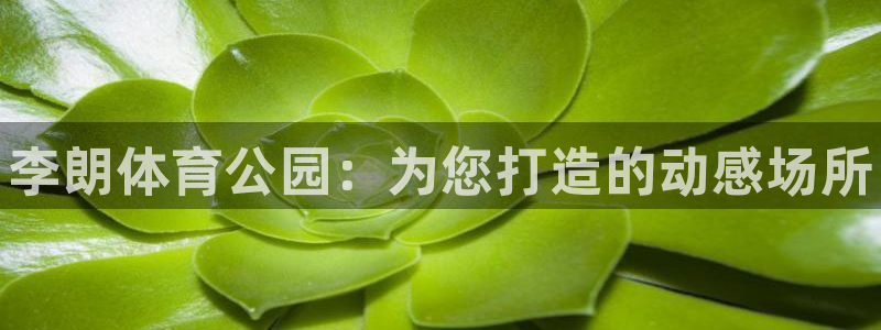 球王会体育：李朗体育公园：为您打造的动感场所
