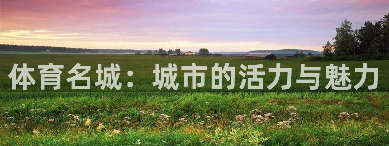 球王会体育：体育名城：城市的活力与魅力