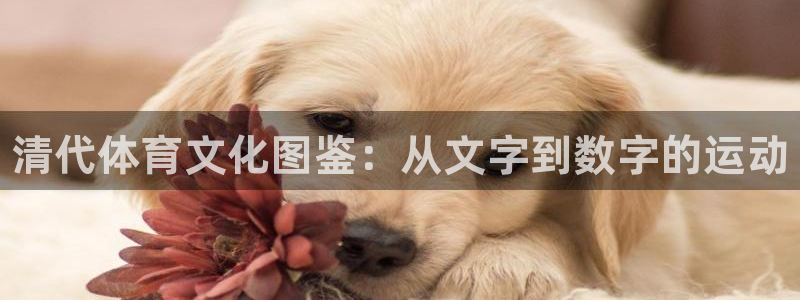 球王会体育：清代体育文化图鉴：从文字到数字的运动