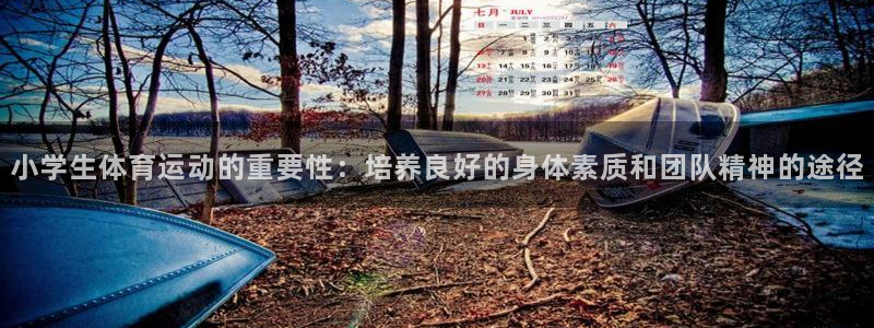 球王会体育：小学生体育运动的重要性：培养良好的身体素质和团队精神的途径