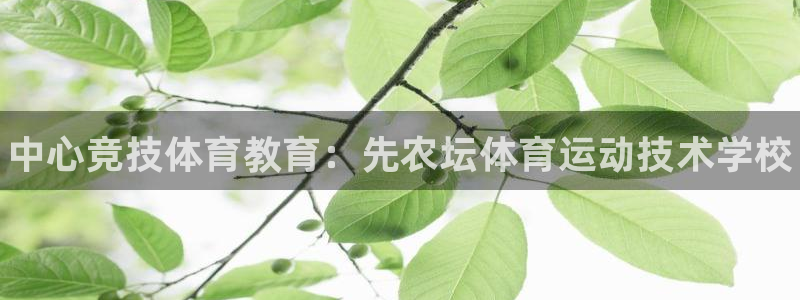 球王会体育：中心竞技体育教育：先农坛体育运动技术学校