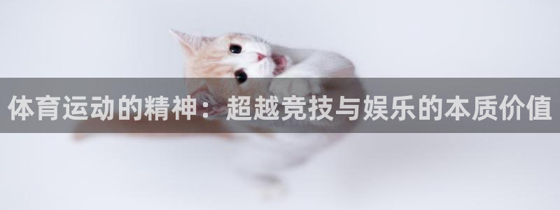 球王会体育：体育运动的精神：超越竞技与娱乐的本质价值
