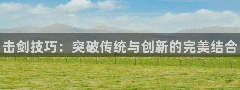 球王会体育：击剑技巧：突破传统与创新的完美结合