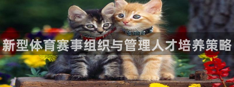 球王会体育：新型体育赛事组织与管理人才培养策略