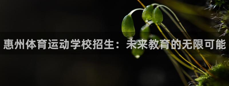 球王会体育：惠州体育运动学校招生：未来教育的无限可能