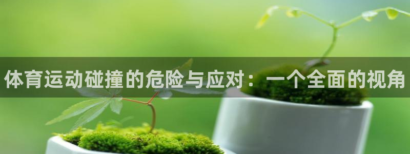 球王会体育：体育运动碰撞的危险与应对：一个全面的视角
