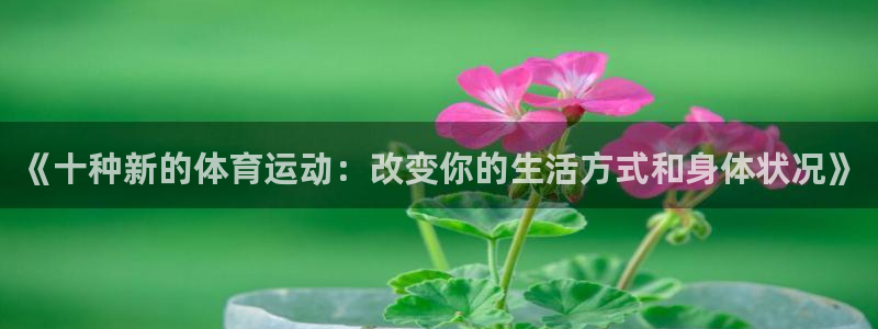 球王会体育：《十种新的体育运动：改变你的生活方式和身体状况》