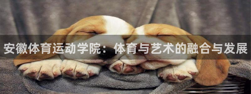 球王会体育：安徽体育运动学院：体育与艺术的融合与发展