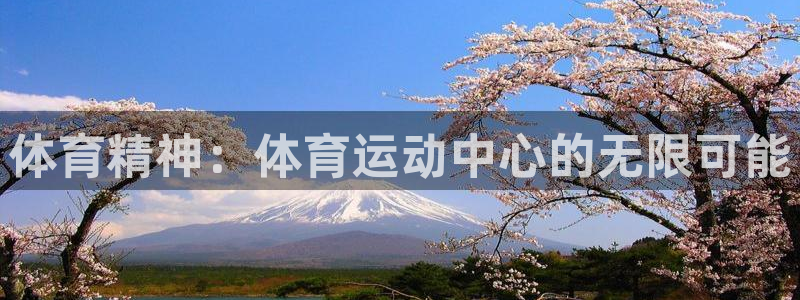 球王会体育：体育精神：体育运动中心的无限可能