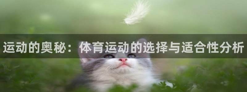 球王会体育：运动的奥秘：体育运动的选择与适合性分析