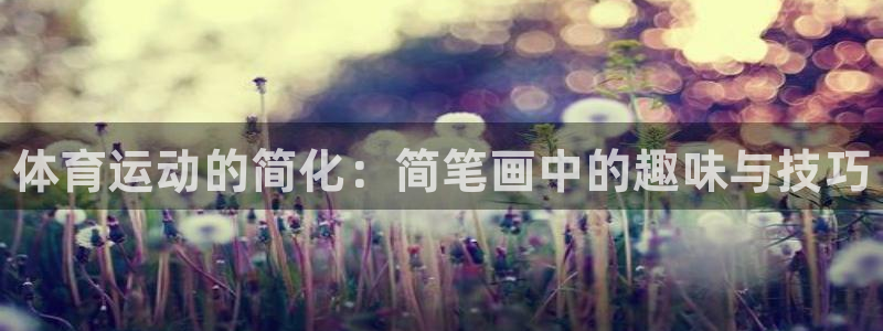 球王会体育：体育运动的简化：简笔画中的趣味与技巧