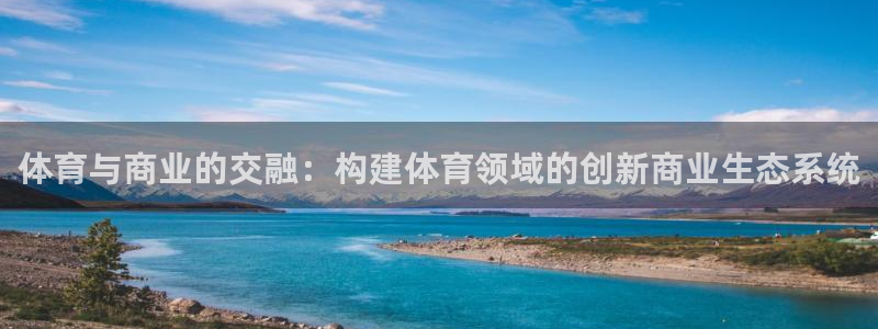 球王会体育：体育与商业的交融：构建体育领域的创新商业生态系统