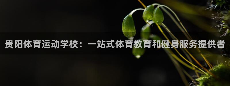 球王会体育：贵阳体育运动学校：一站式体育教育和健身服务提供者