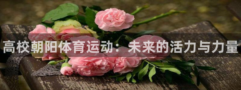 球王会体育：高校朝阳体育运动：未来的活力与力量