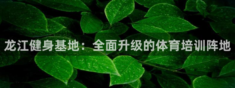 球王会体育：龙江健身基地：全面升级的体育培训阵地