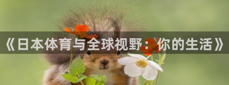 球王会体育：《日本体育与全球视野：你的生活》