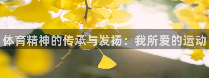 球王会体育：体育精神的传承与发扬：我所爱的运动