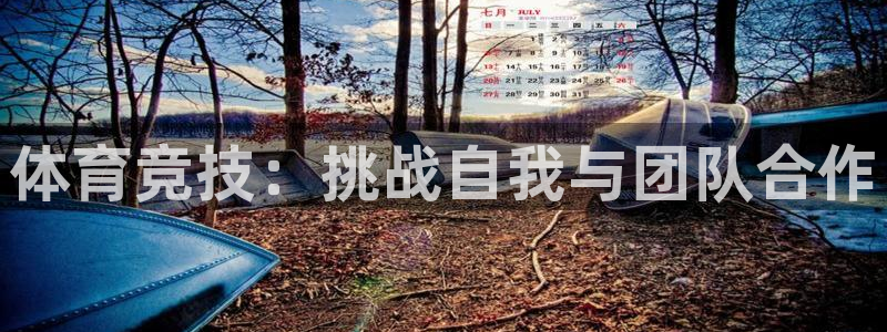 球王会体育：体育竞技：挑战自我与团队合作