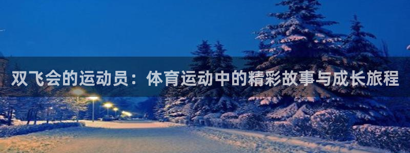 球王会体育：双飞会的运动员：体育运动中的精彩故事与成长旅程