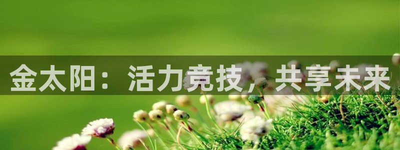 球王会体育：金太阳：活力竞技，共享未来